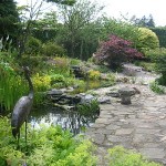 aquatic design water feature ponds streams fountains fish pond